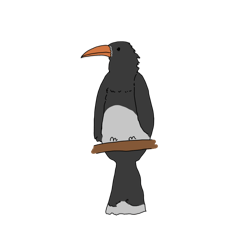 momaka_20260213201711