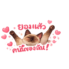 Maruy_20260213140126