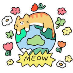 Yuzu runs the world (orange white cat)