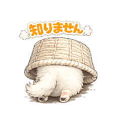 center-island_20260213160617