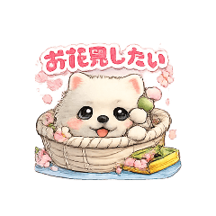 center-island_20260213160804