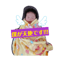 Tsunekawa_20260213162100