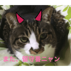 Me_Mina_20260213172503