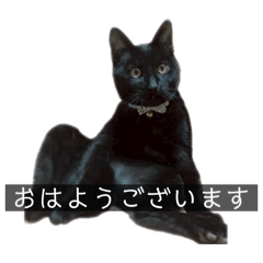 Haruka_20260213173355