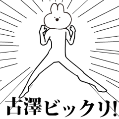 Rabbit Name kosawa hurusawa.moves!