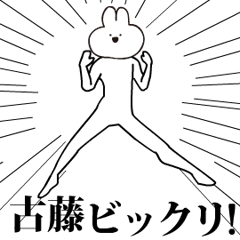 Rabbit Name kodou kotou.moves!