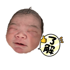 Yuto_20260214002052