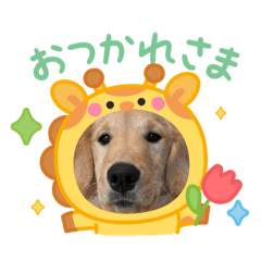 shimomo0724