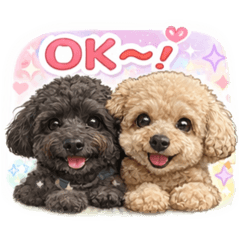 shino_20260213221515