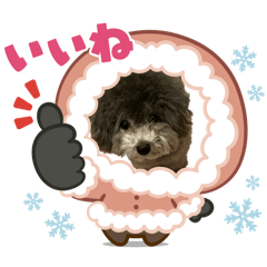 可愛いペットだよ