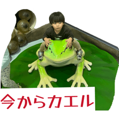 tommy_20260213232648