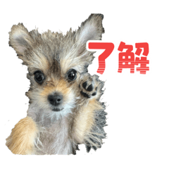 Miyazawa_20260214075808