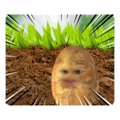 Reina_20260213164959