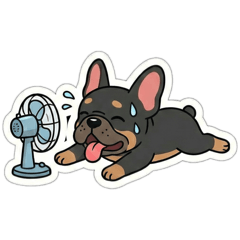 Shrimp Aiming Squid_20260213144120