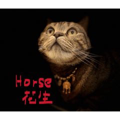 三百萬幸福胖虎馬上有福