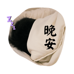 李阿胖