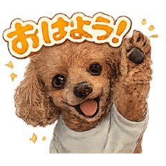 junsweet_20260214094613