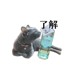 rubia_20260214094700