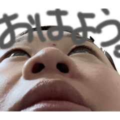 sakura_20260214105501