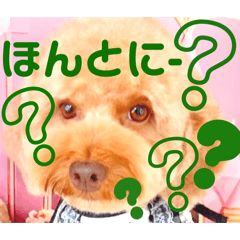 KUROSAKI-P_20260214093155