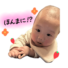 koko_20260214011534