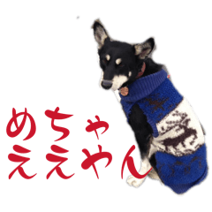 iroha_20260214005727