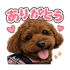 moriya_20260214113051
