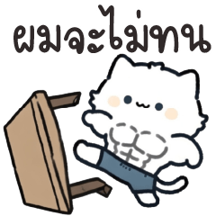 Nine Hundred Lives of the Cat