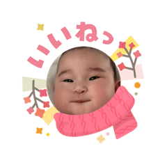 karin_20260213211732