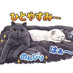 imunamu_20260211161718