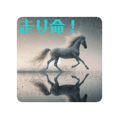 Meragajinga_20260213224149