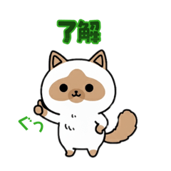 jgtmpmg_20260214000454