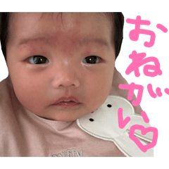 mrmkkr_20260213235827