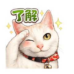 mayumi_20260211172631