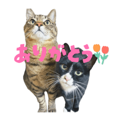 BUN KUU_20260214001138