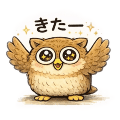 sora mi_20260211174952