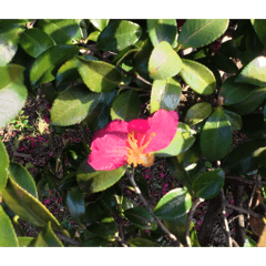 Moritahirofumi_20260211173616