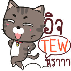 TEW ชาร์โคล เหมียว e