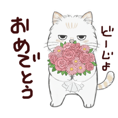 yuzubonnu_20260214113848