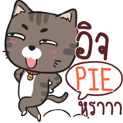 PIE ชาร์โคล เหมียว e