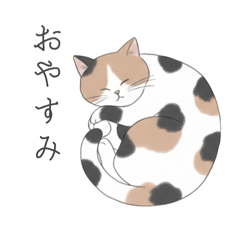 TAKUAN_20260214050939