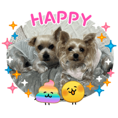 daichi_20260214052621