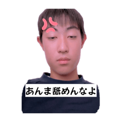 hippo_20260214062543