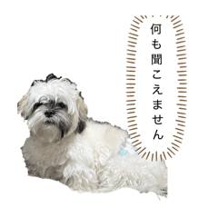 hinako_20260214054308