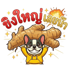 Yellow Hoodie Frenchie: Pop Slang