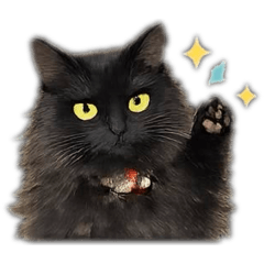 Lou tham_20260214083602