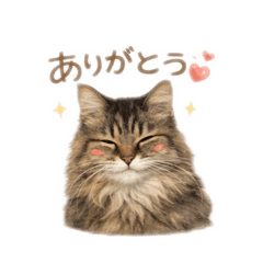 Chatham_20260214083842