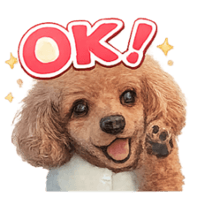 junsweet_20260214084357