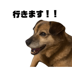 Tanaka Futoshi_20260213204343