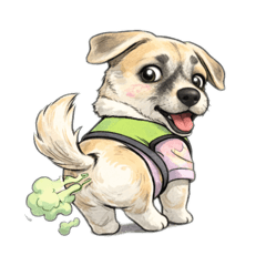 ningzarr_20260214104518